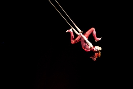 MSC Cruises reveals plans to team up with Cirque du Soleil 